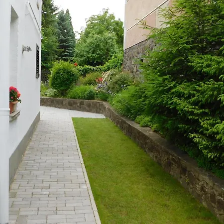 Fenyő Parádsasvár